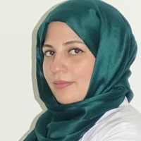 Alshaimaa Alnaggar