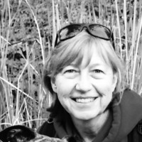 Sue Rice