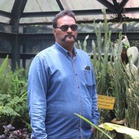 Mohan Ms