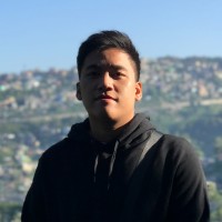 Fidel Lagman Iii