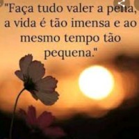 Luciene Gomes Fernandes