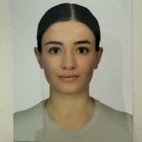 Elif Taşkıran