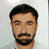 Zalmi Badshah