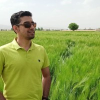 Ehsan Lotfollahi