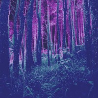 Atticus Yang