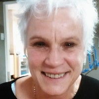 Karin Van Vliet