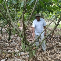 Raj Suhendra