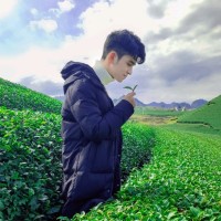 Nam Phong