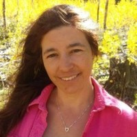 Lori Dyche
