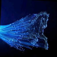 Service Open Fiber