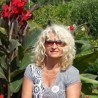 Taimi Dreier