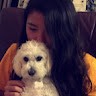 sofia cho