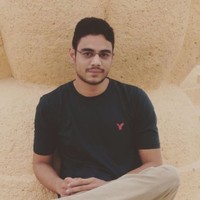 Syed Monis Hassan