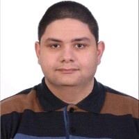 Mohamed Amir Elgendy