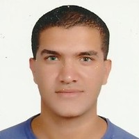 kareem Sharara, PMP