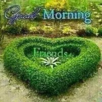 Jitender Poonia