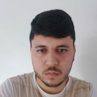 Vinicius Onorato Carvalho