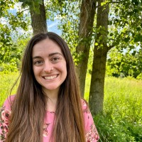 Carly Zanetti, Msw, Lmsw