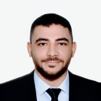 Mohammad El Greetly