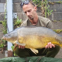 Dwayne Van Den Abbeele