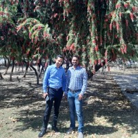 Aniket Chandra