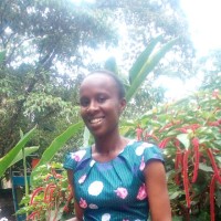 Ann Gitau
