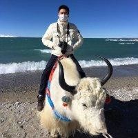 陈光城