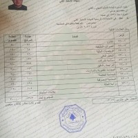 Mohammed Jardali
