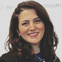 Nahid Rezaeinia, Phd