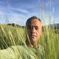 Domenico Serafini