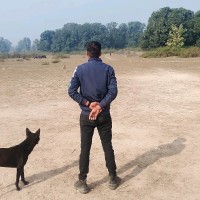 Vivek Dwivedi