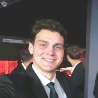 Pedro Henrique D C de Toledo