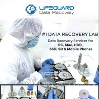 Lifeguard Data Recovery,Abu Dhabi