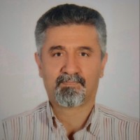 Omid Mahmoudzadeh