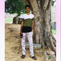 Basva Raj