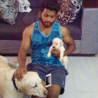 Sai Ambati