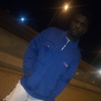 Job David
