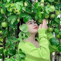 Hà Vân