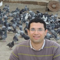 Mohamed Zedan