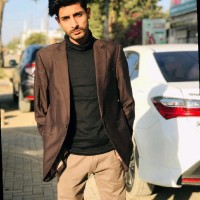 Ahmar Anees