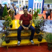 Yasser Fadel