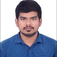 Vignesh P