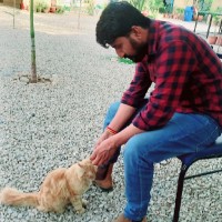 DHIRENDRA PRATAP SINGH