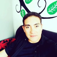 Luis Andres Iturriaga Quinones