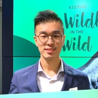 Jason Wong