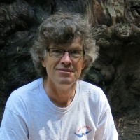 David Bacon