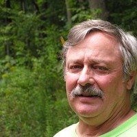 Richard Hamann