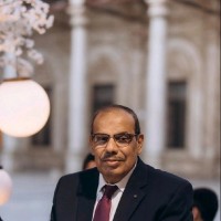 Mohamed Sherif Ghanem