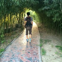 张继伟
