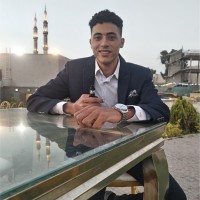 Mohamed ElHusseini